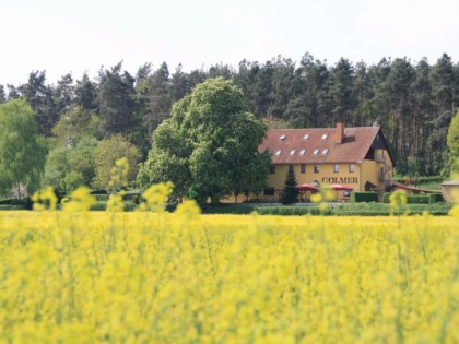 Фото: Hotel Golmer Weinberg